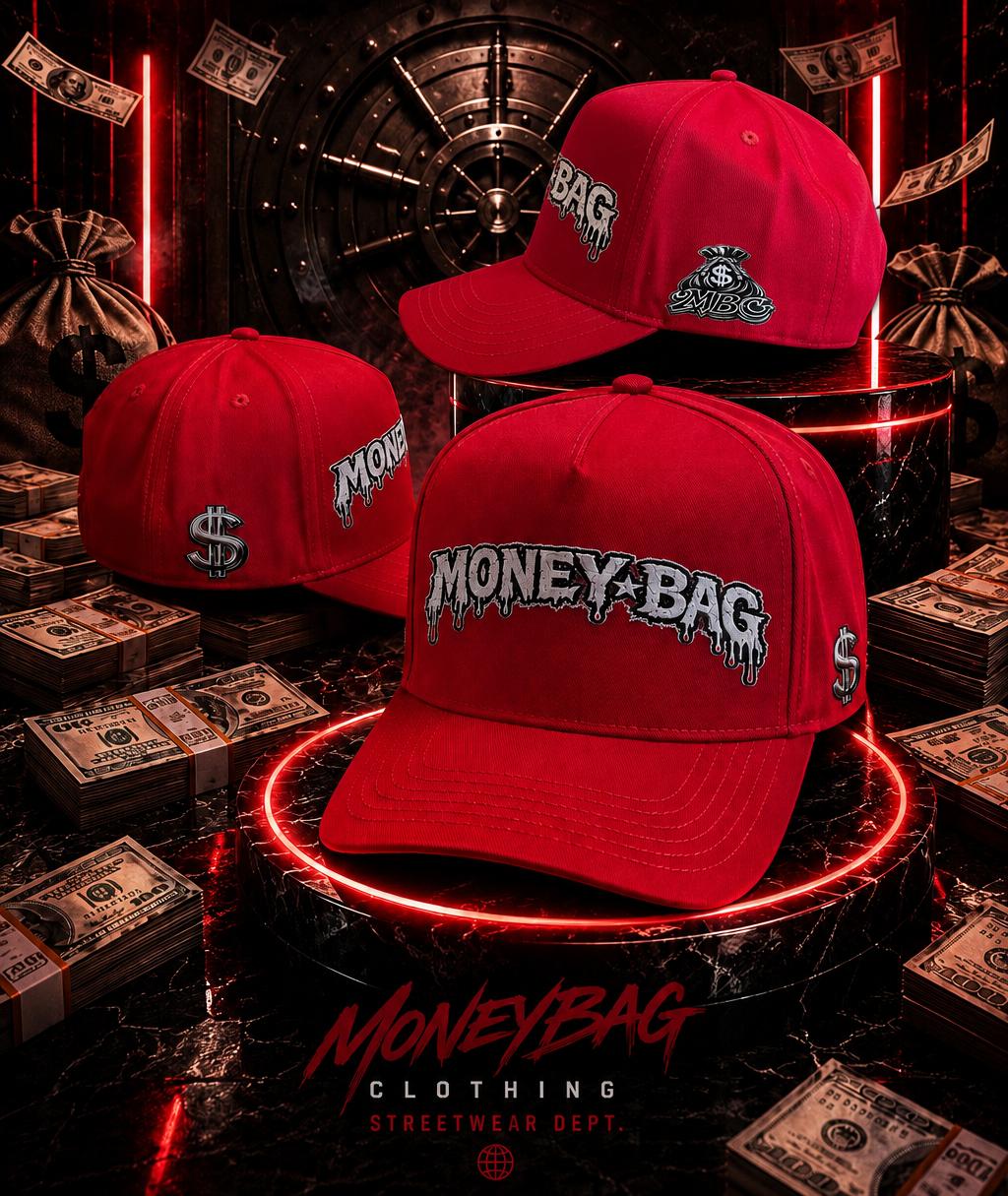 Money bag SnapBack