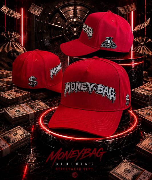 Money bag SnapBack