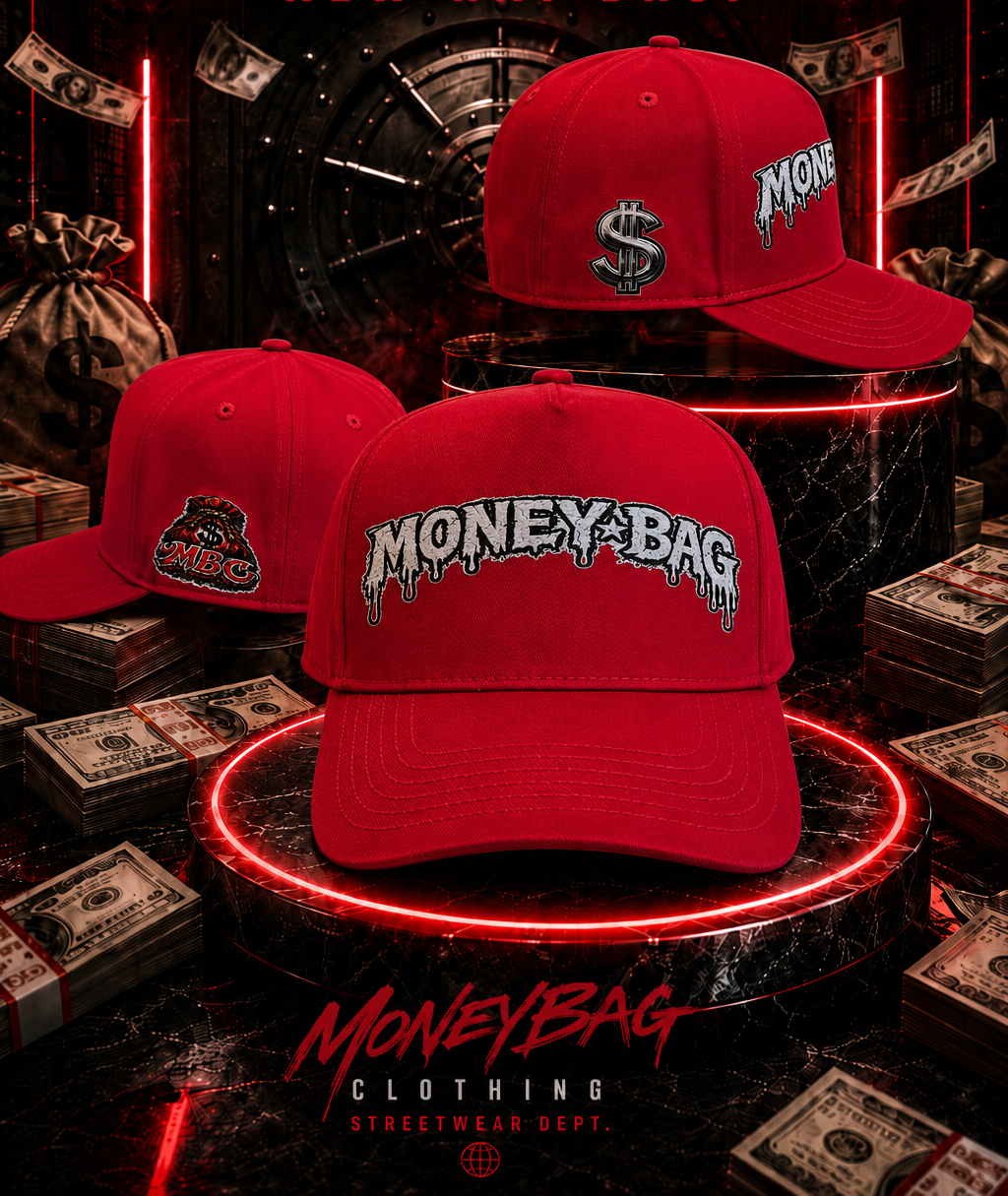 Money bag SnapBack