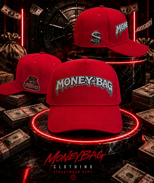 Money bag SnapBack