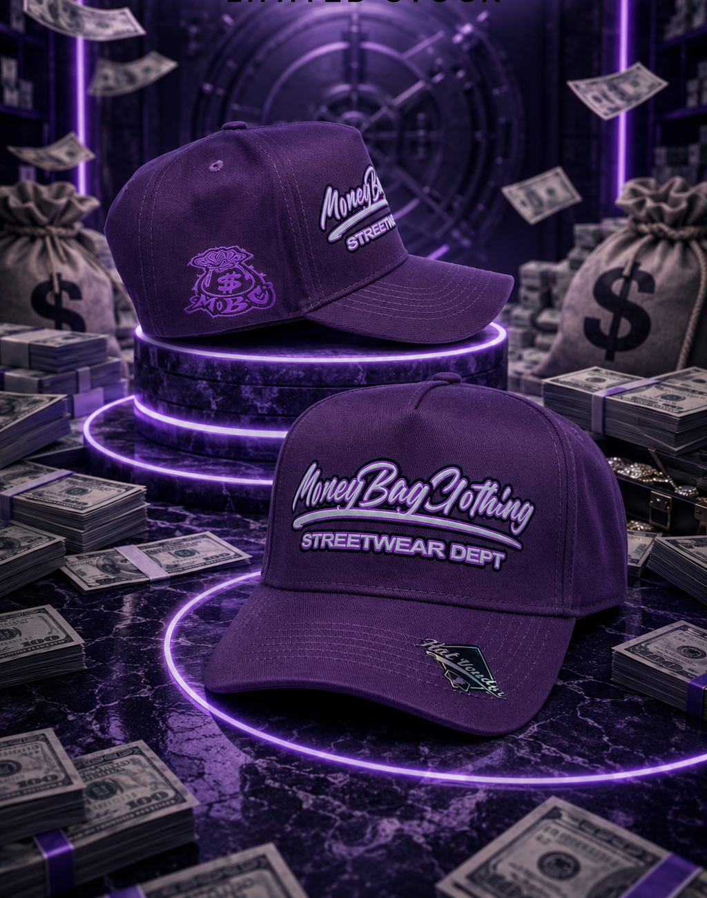 Money bag SnapBack